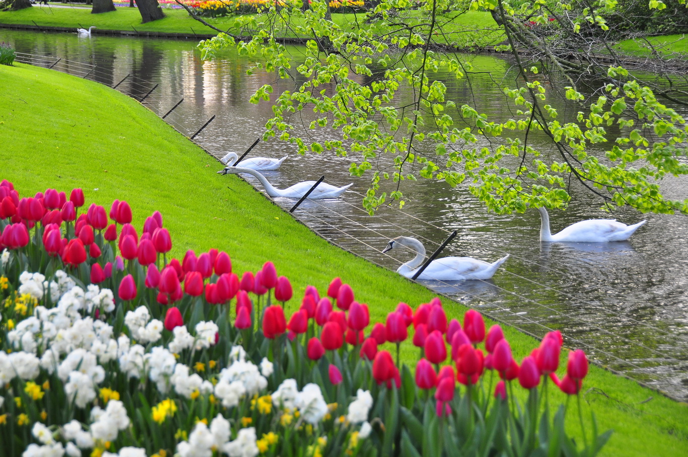 Thời tiết khí hậu Hà Lan - 4 mùa tươi đẹp, du lich phát triển quanh năm